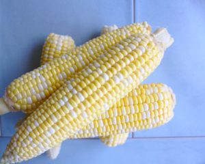 bi-color sweet corn