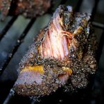 barbecued short ribs