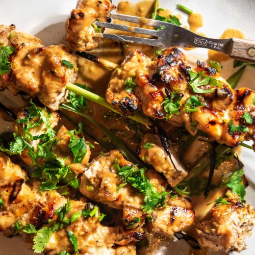 Grilled Lemongrass Chicken Satay The Frayed Apron