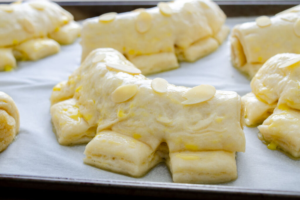 bear claw shaped pastry dough with egg wash and slivered almonds