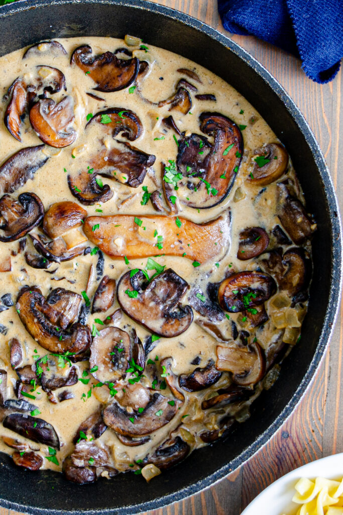mushroom stroganoff