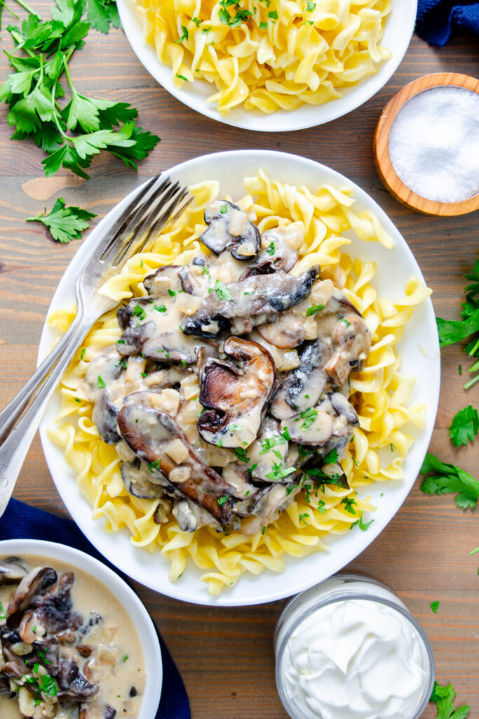 mushroom stroganoff over egg noodles