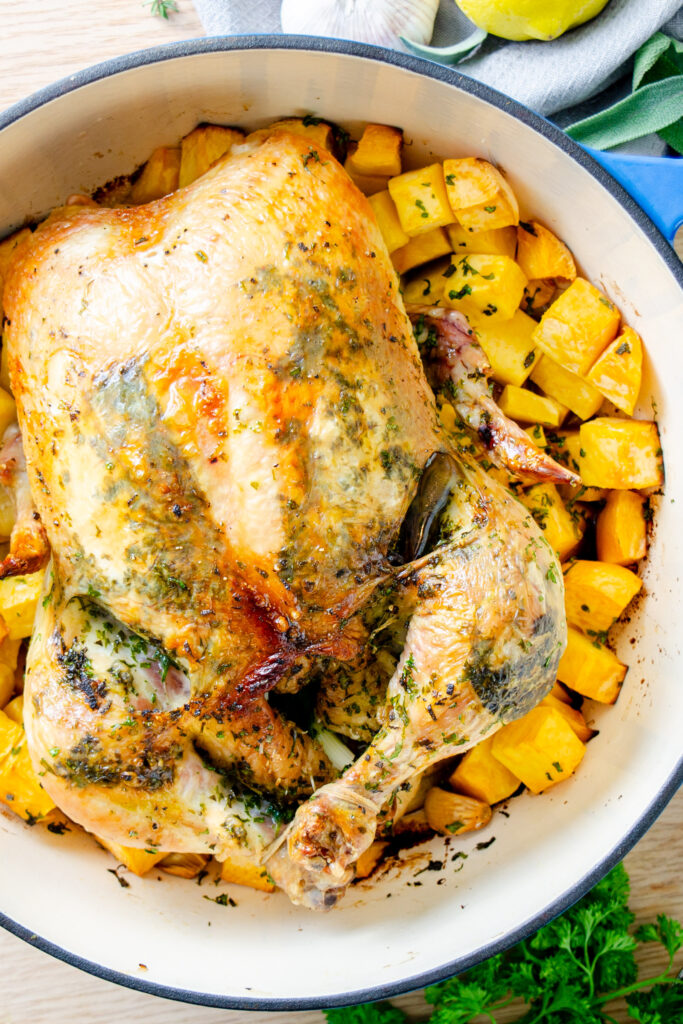 roasted chicken over rutabaga in Dutch oven