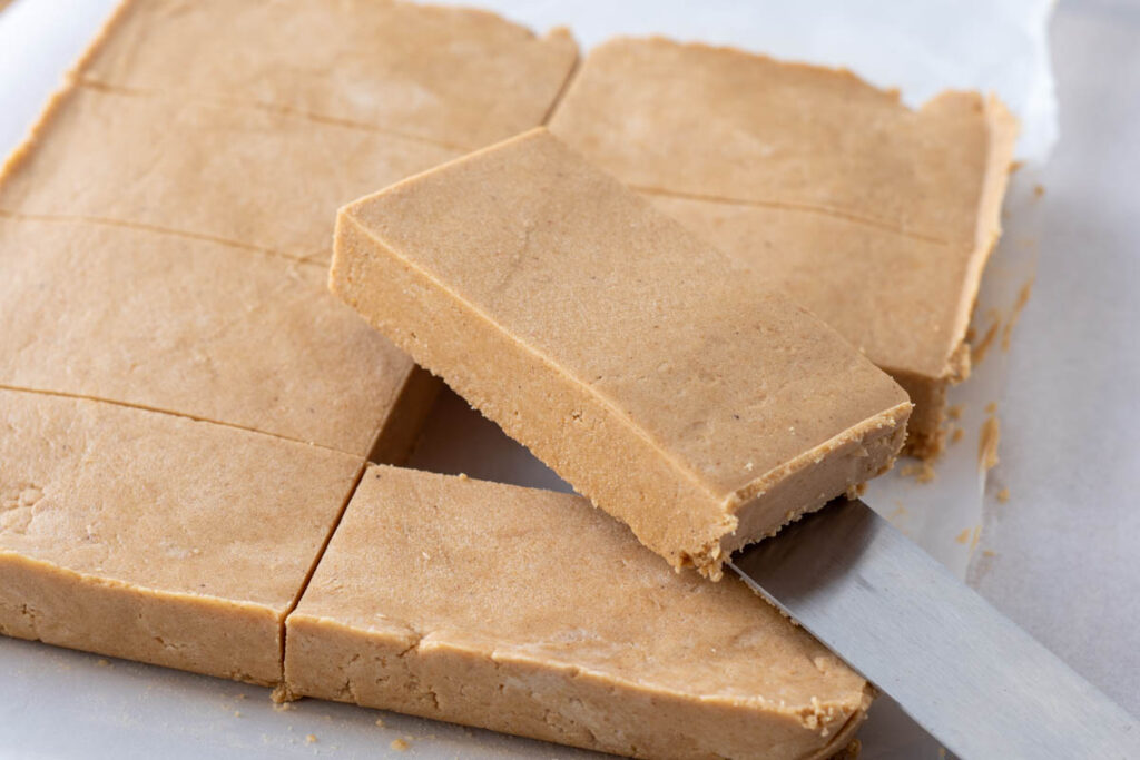 protein paste formed into rectangles