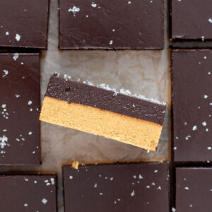 no bake chocolate layered peanut butter squares